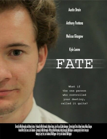 Постер Fate 2014
