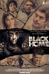 Black Home постер