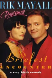 Кратчайшая встреча 1993 постер