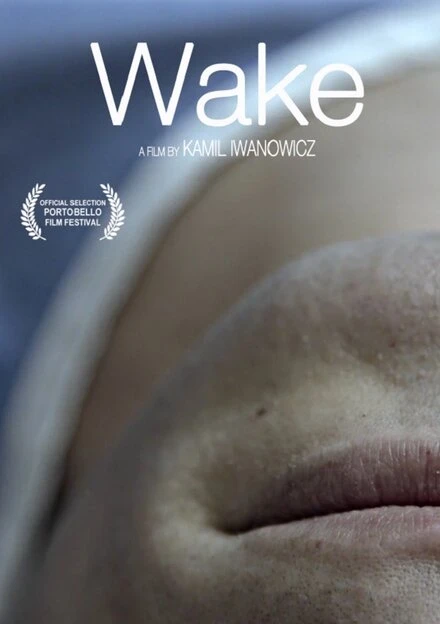 Постер Wake 2017, Великобритания