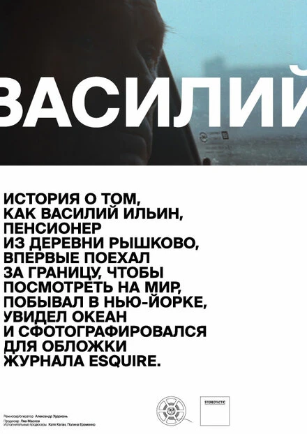 Постер Василий 2013