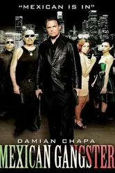 Бандит из Мексики 2008 постер