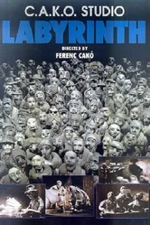 Лабиринт 1999, Венгрия постер