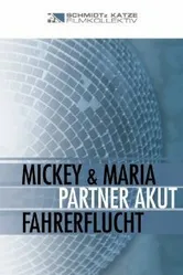 Fahrerflucht постер