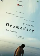 Dromedar постер