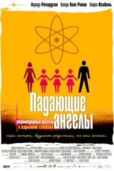 Падающие ангелы 2003 постер