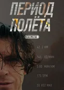 Период полёта постер