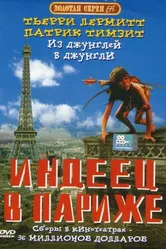 Индеец в Париже 1994 постер