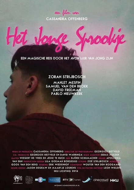 Постер Het jonge sprookje