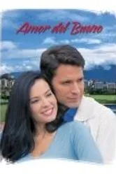 Любовь прекрасна 2004 постер