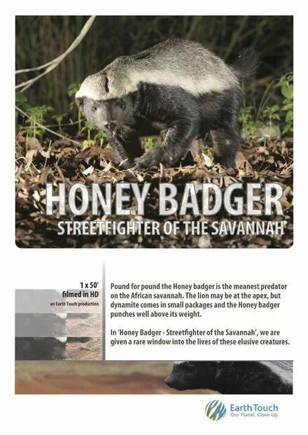 Постер Ultimate Honey Badger