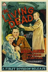 The Scotland Yard Mystery постер