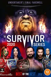 WWE Серии на выживание 2020 постер