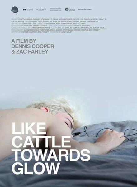 Постер Like Cattle Towards Glow