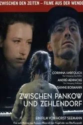 Между Панковом и Целендорфом 1991 постер