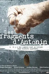 Фрагменты Антонина 2006 постер