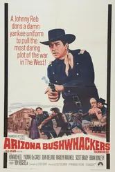 Аризонские ополченцы 1968 постер