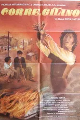Беги, цыган 1982 постер