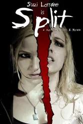 Split 2012, США постер