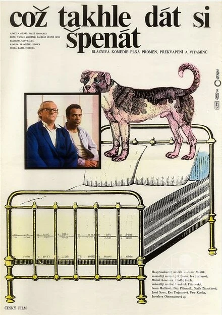 Постер А что, если поесть шпината? 1977