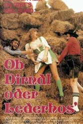 В фартуке или в кожаных штанах – Когда йодль сводит с ума 1974 постер