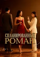 Спланированный роман постер