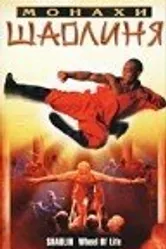 Монахи Шаолиня 2001 постер