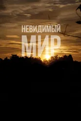 Невидимый мир 2012 постер
