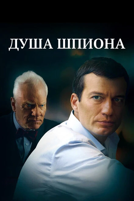 Постер Душа шпиона 2014