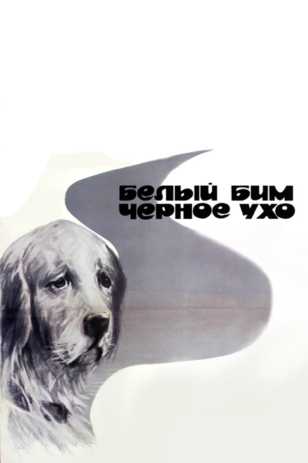 Постер Белый Бим Черное ухо 1976