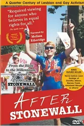 After Stonewall постер