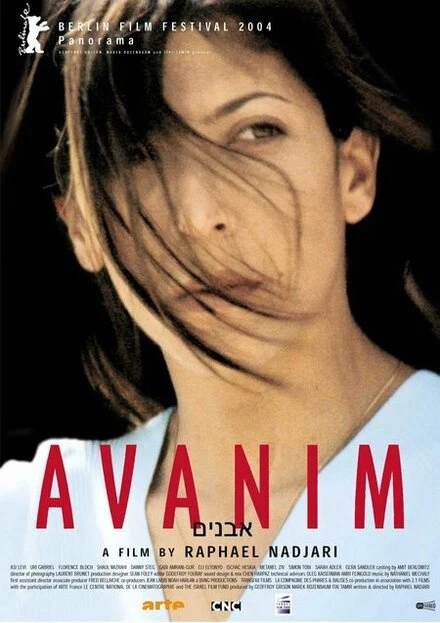 Постер Камни 2004