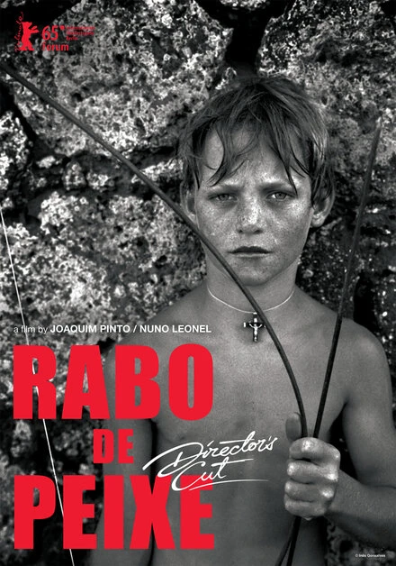 Постер Rabo de Peixe 2015