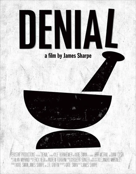 Постер Denial 2013, США