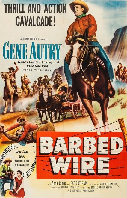 Постер Barbed Wire