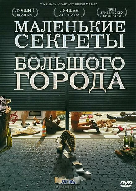 Постер Маленькие секреты большого города 2005