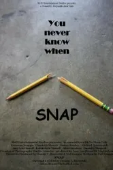 Snap 2011 постер
