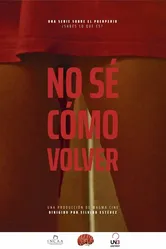 No se cómo volver постер