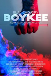 Boykee постер