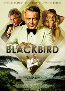 Blackbird 2018, Ирландия постер