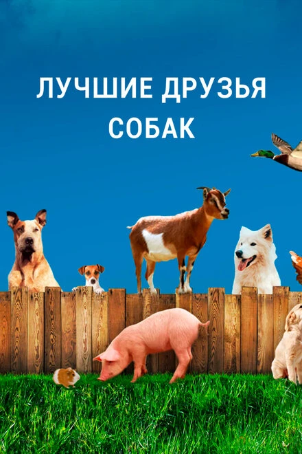Постер Лучшие друзья собак 2014