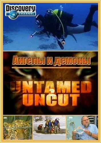 Постер Дикие и опасные 2008