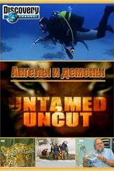 Дикие и опасные 2008 постер