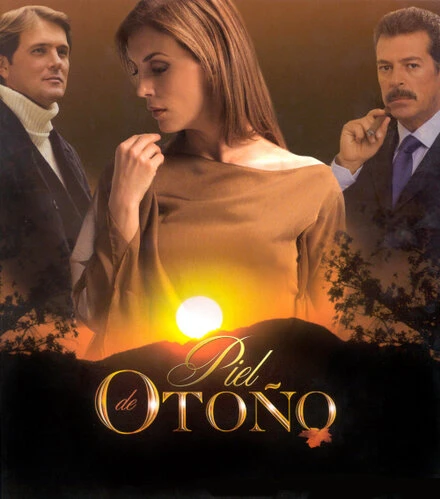 Постер Поздняя любовь 2004