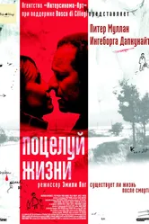 Поцелуй жизни 2003 постер