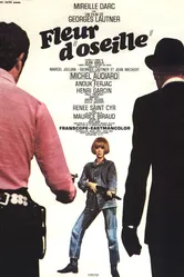 Дом с деньгами 1967 постер