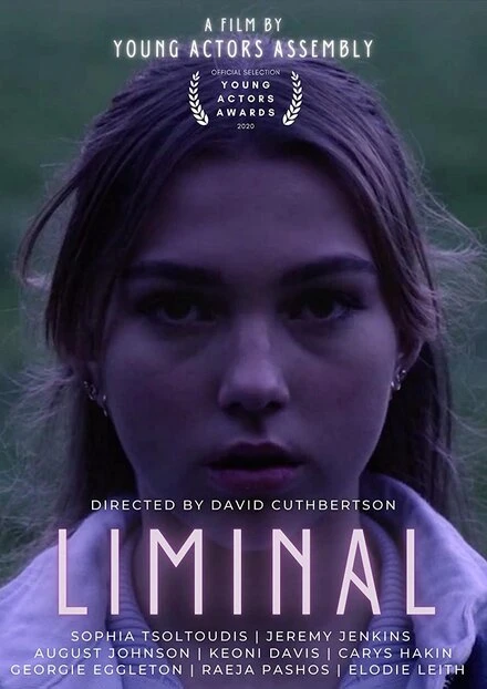 Постер Liminal 2020, Австралия