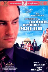 Немного любви, немного магии 2008 постер