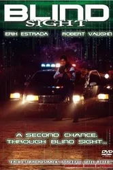 Visions 1998 постер