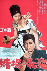 Азартная кошечка 1965 постер